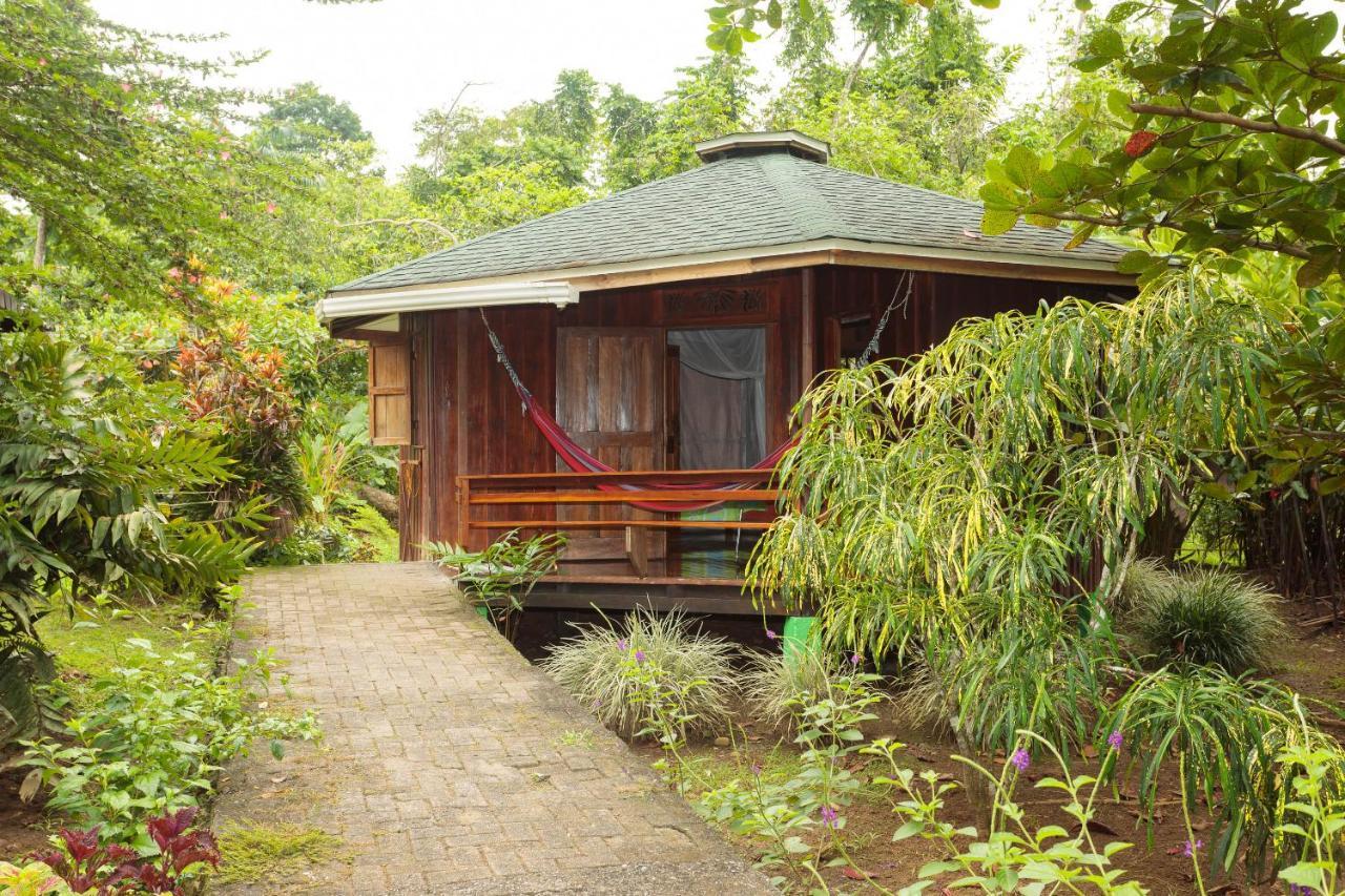 Bungalows Ache Cahuita Eksteriør bilde
